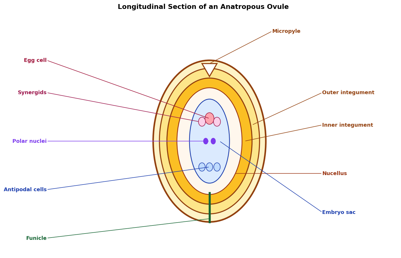 Sexual Reproduction in Flowering Plants figure