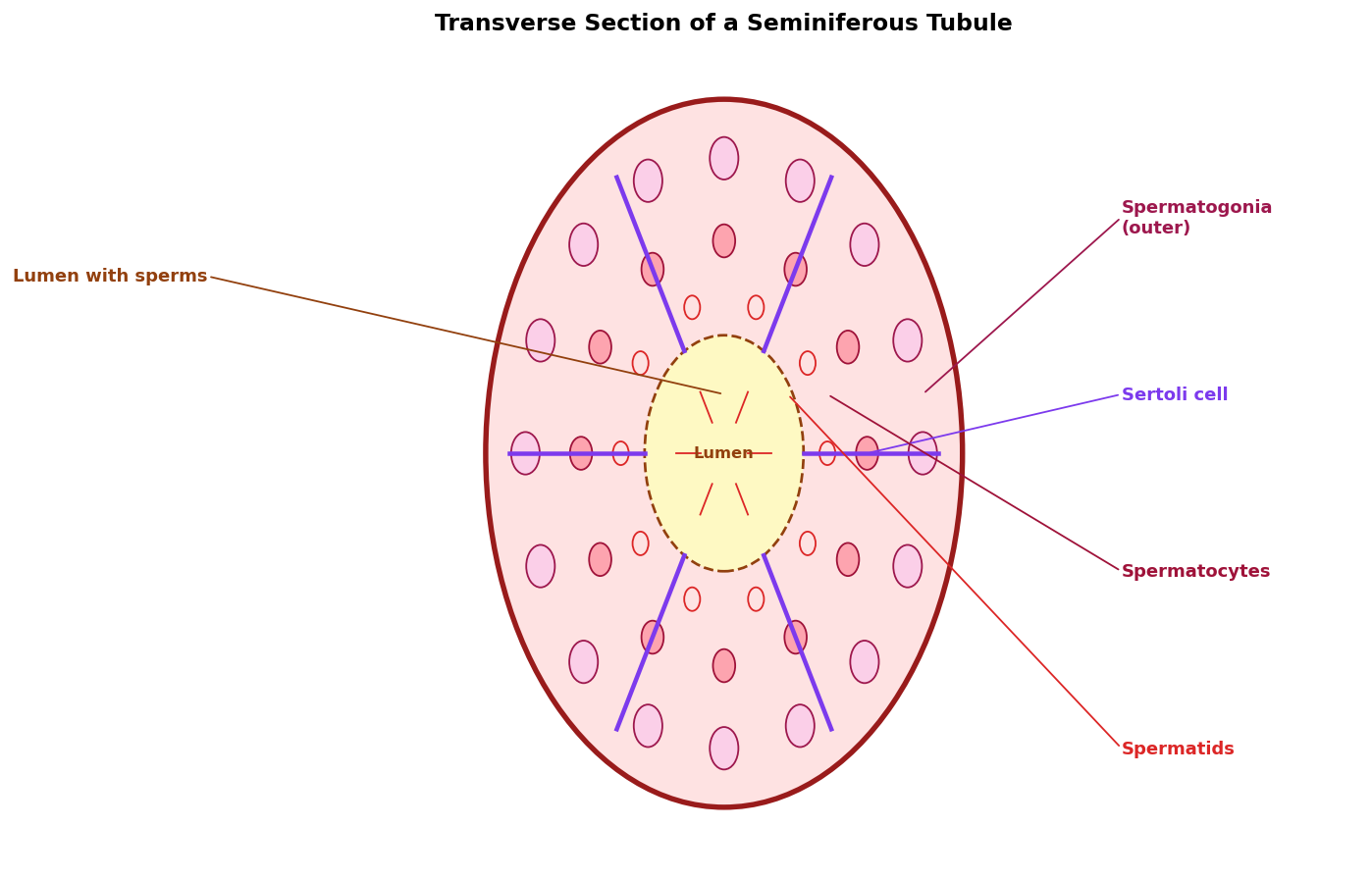 Human Reproduction figure