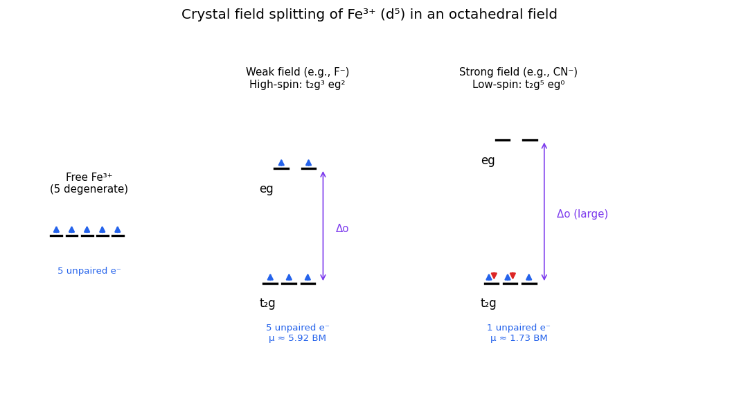 The d- and f-Block Elements figure