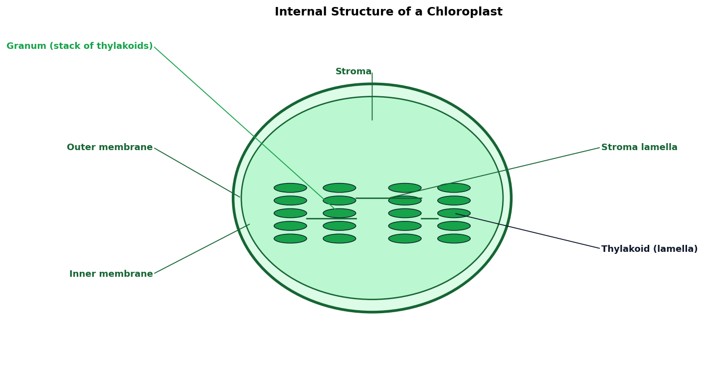 Photosynthesis in Higher Plants figure