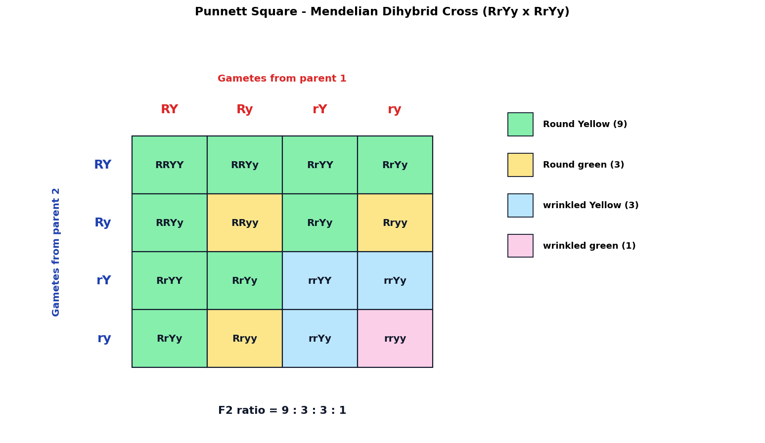 Principles of Inheritance and Variation figure