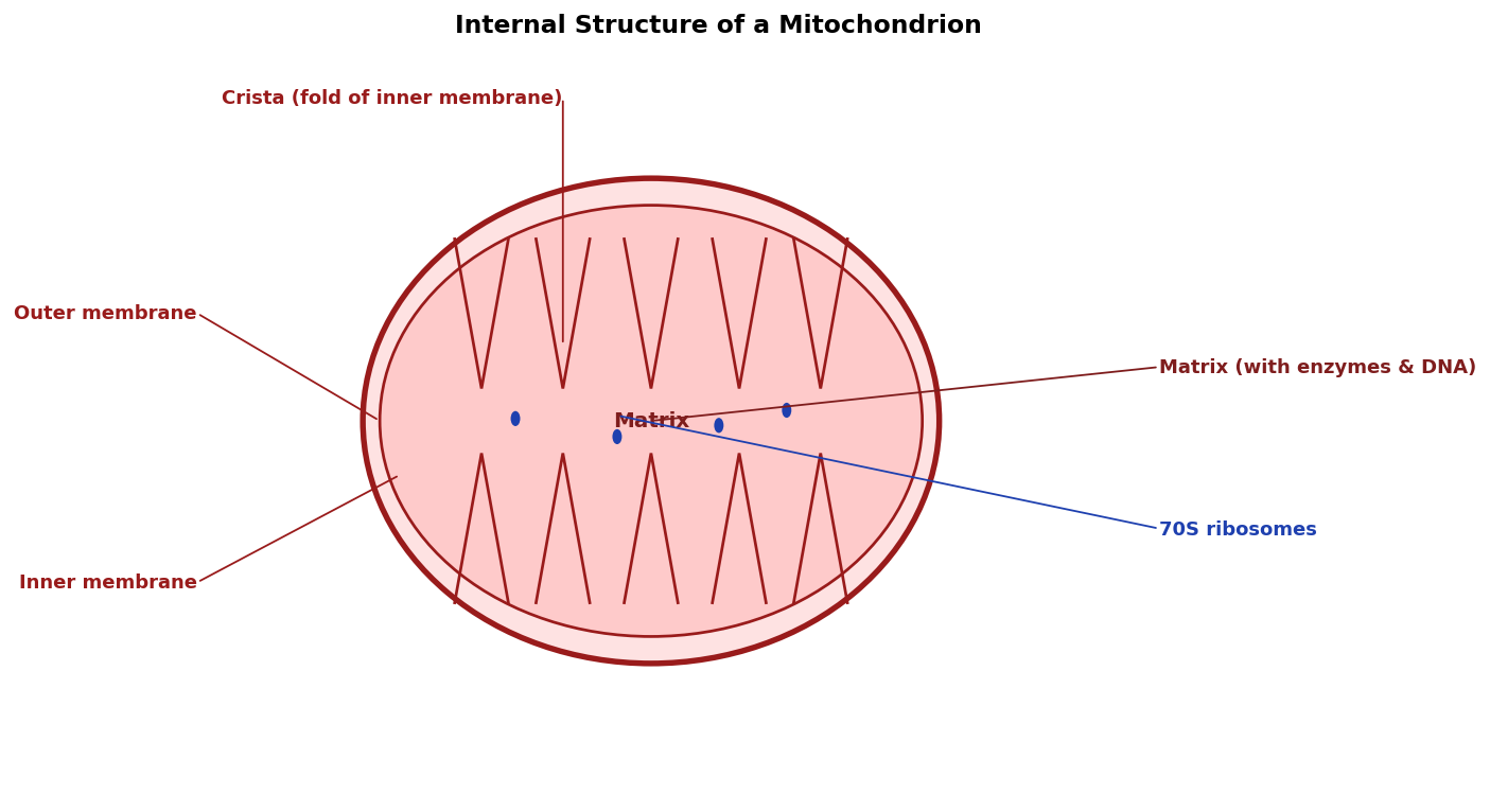 Respiration in Plants figure