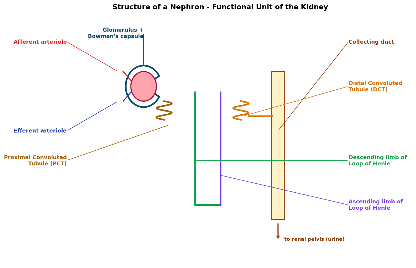 Excretory Products and their Elimination figure