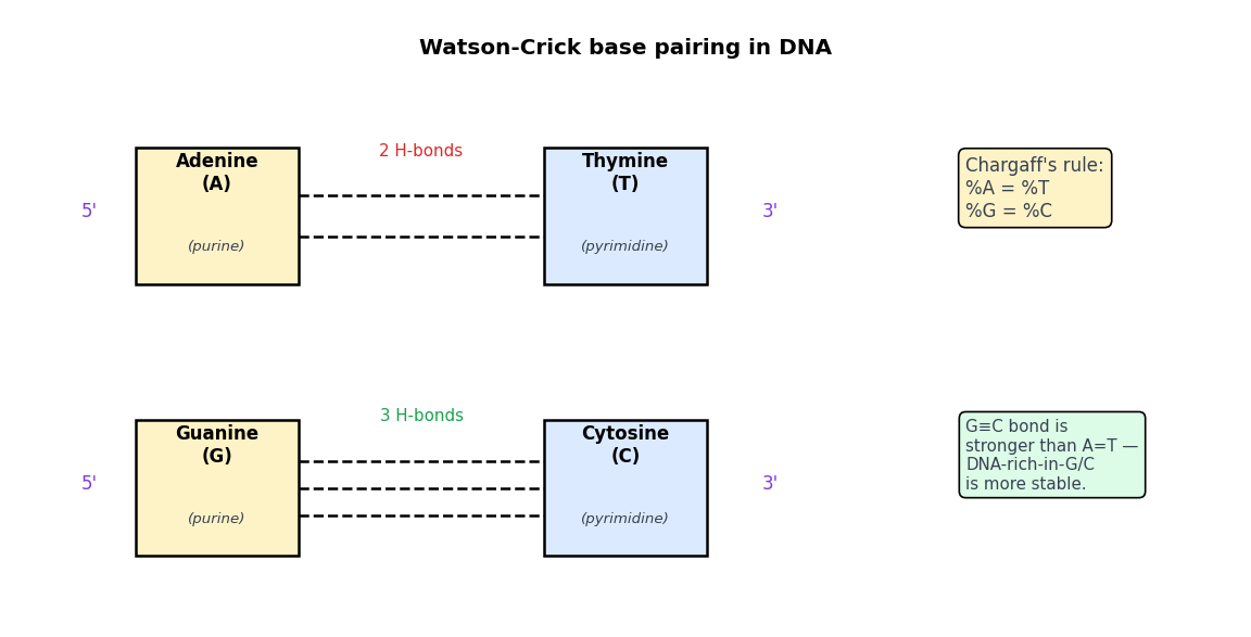 Biomolecules figure