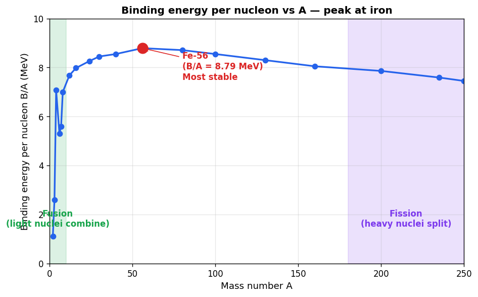 Nuclei figure
