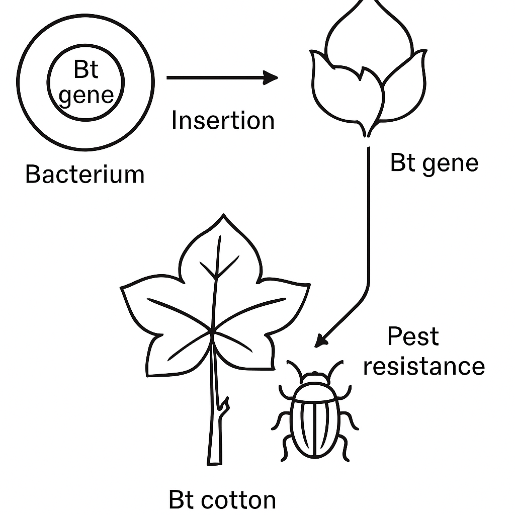 Biotechnology and its Applications figure