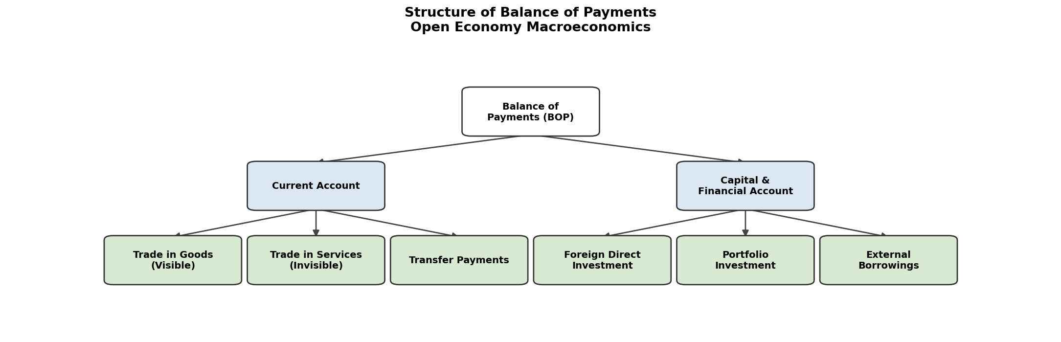 Open Economy Macroeconomics (Macroeconomics) figure