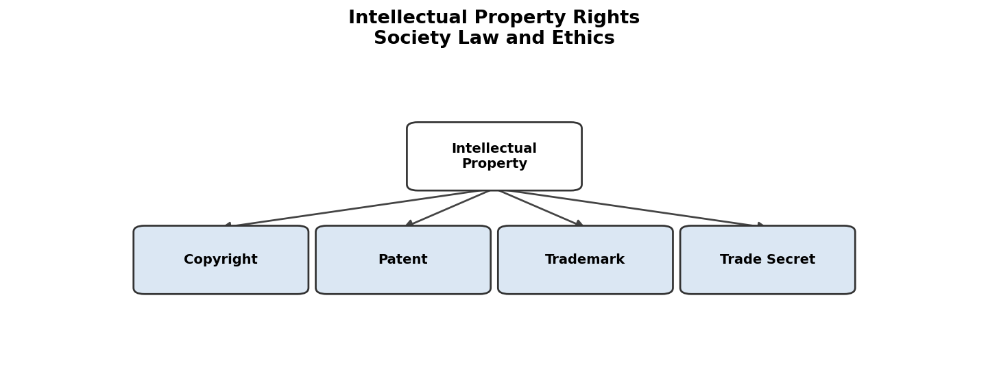 Society Law and Ethics figure