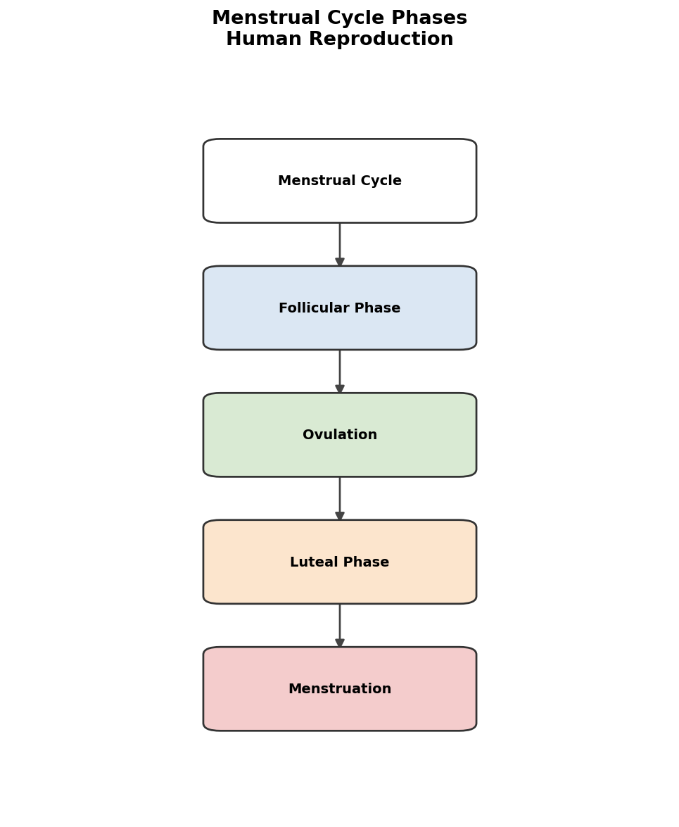 Human Reproduction figure
