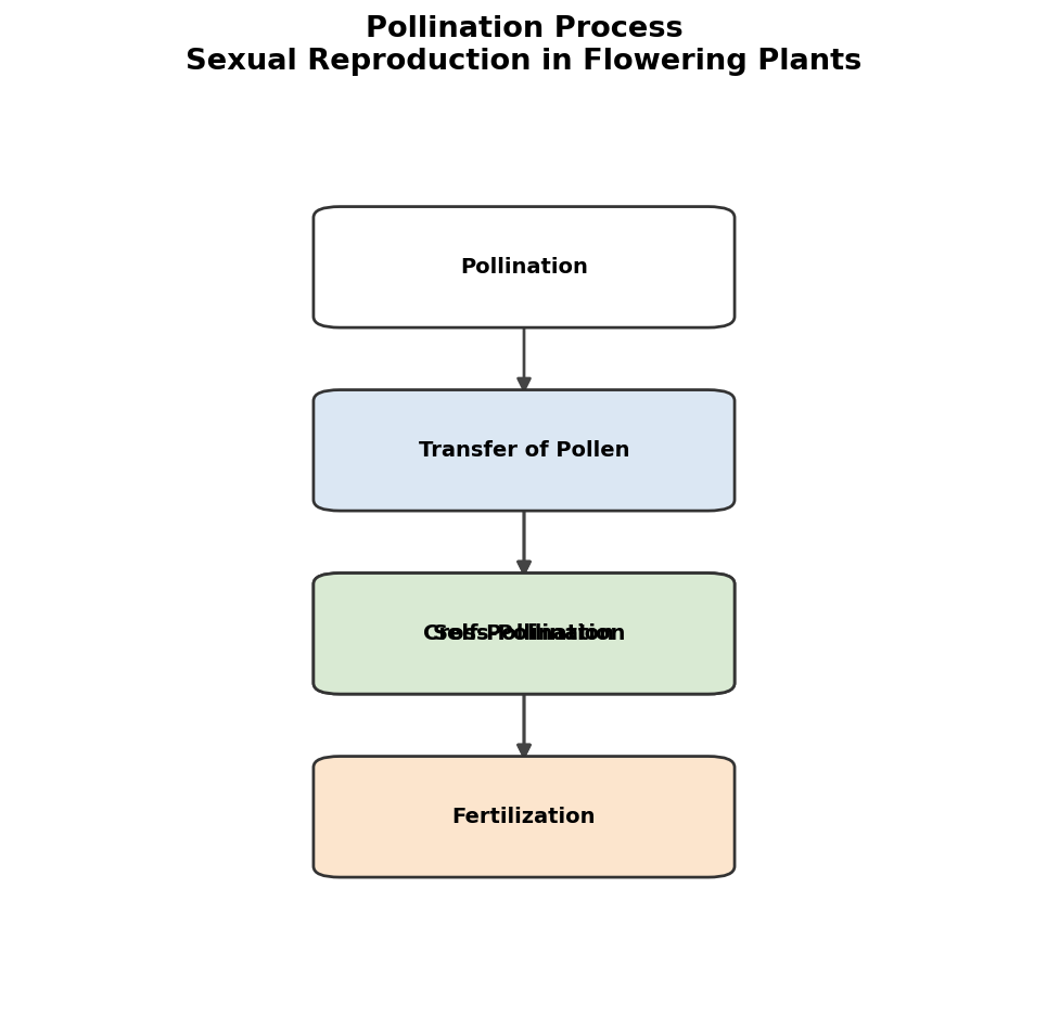 Sexual Reproduction in Flowering Plants figure