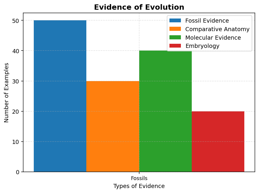 Evolution figure