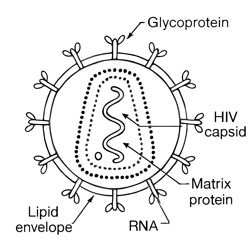 Human Health and Disease figure