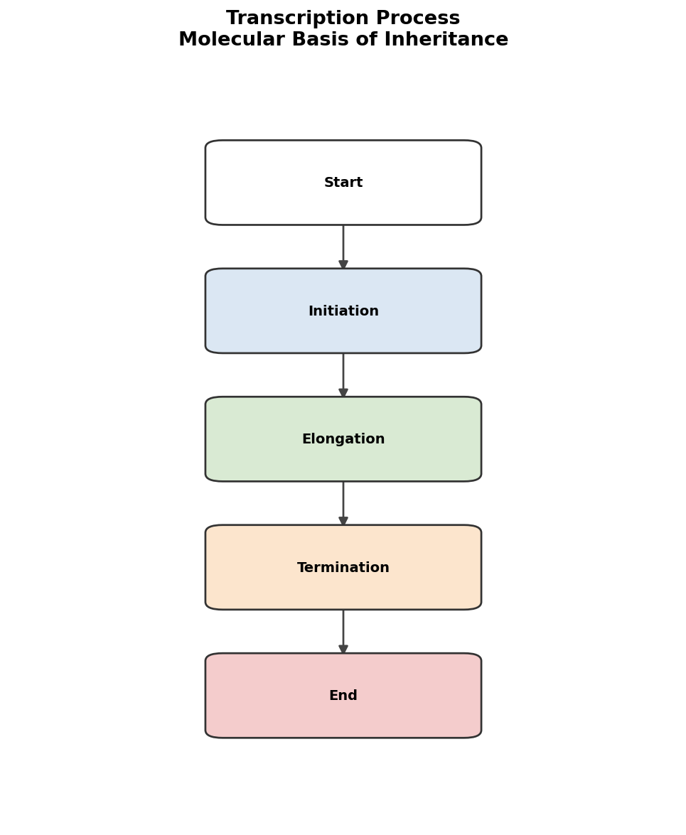 Molecular Basis of Inheritance figure