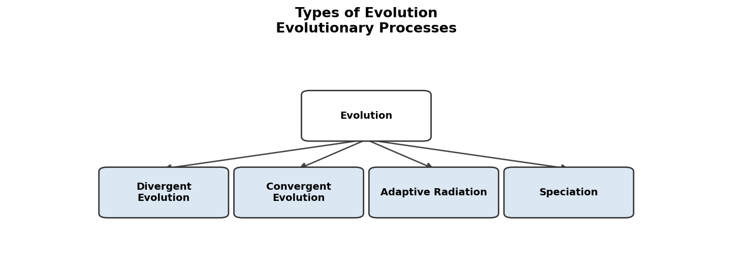 Evolution figure