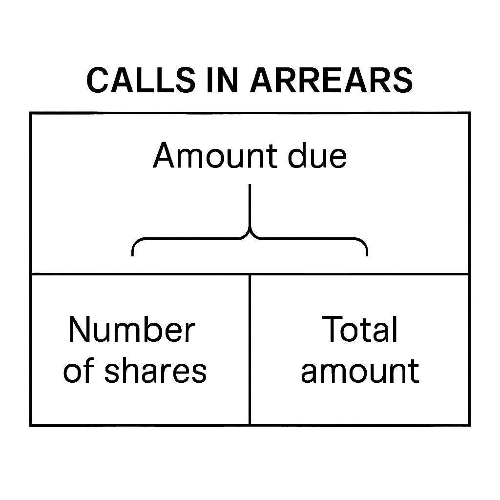 Accounting for Share Capital figure